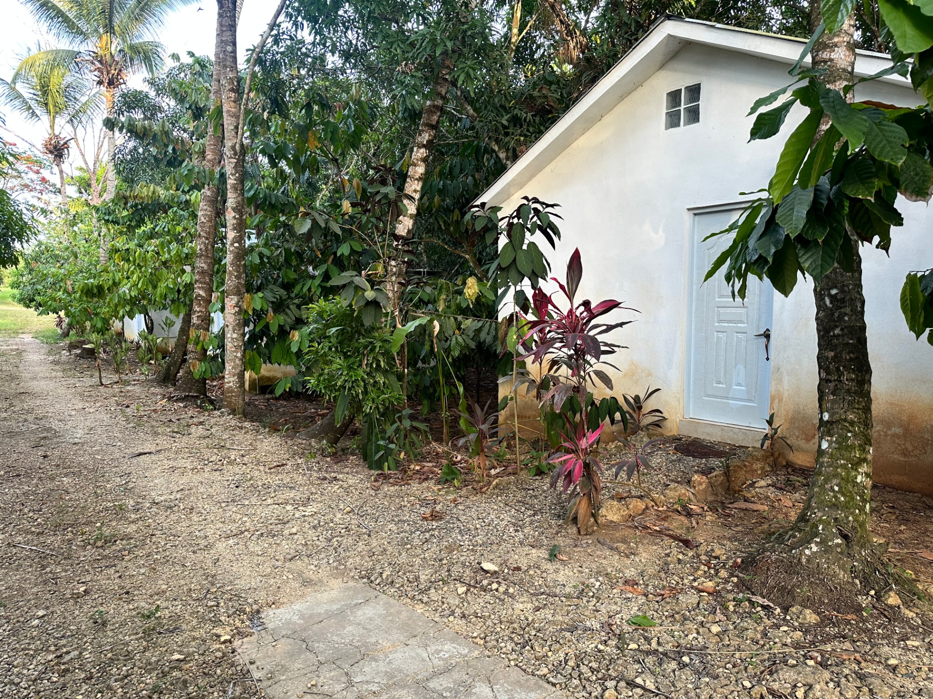 Sanctuary grounds detail