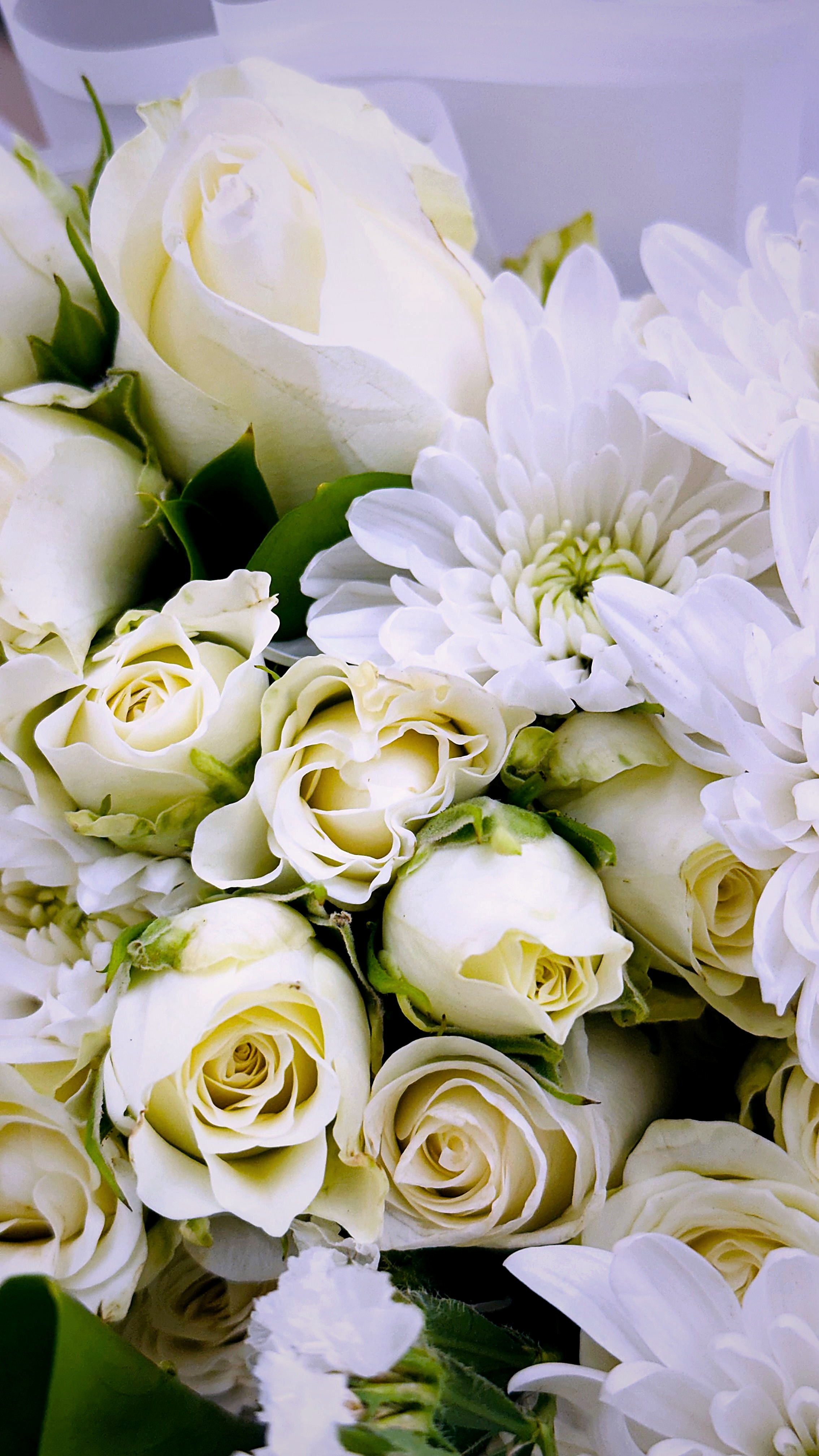 White roses and chrysanthemums