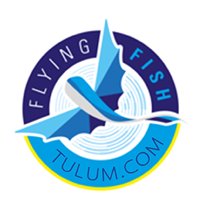 LOGO | Flying Fish Tulum Dive Shop 
