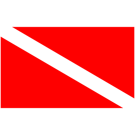 DIVING FLAG | Flying Fish Tulum Dive Shop 