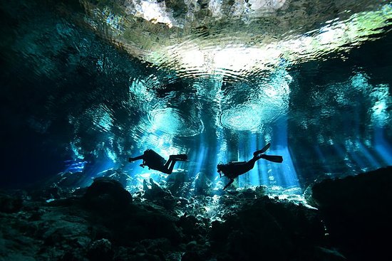 SCUBA DIVING CERTIFICATION COURSES | Flying Fish Tulum Dive Shop 