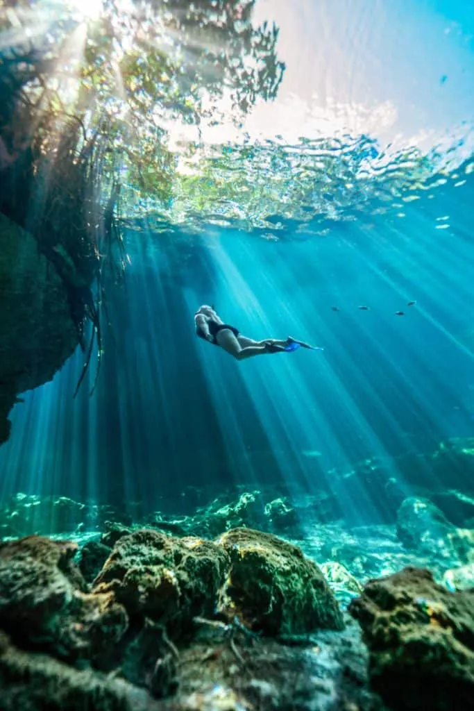 CASA CENOTE DISCOVER SCUBA DIVING TULUM | Flying Fish Tulum Dive Shop 