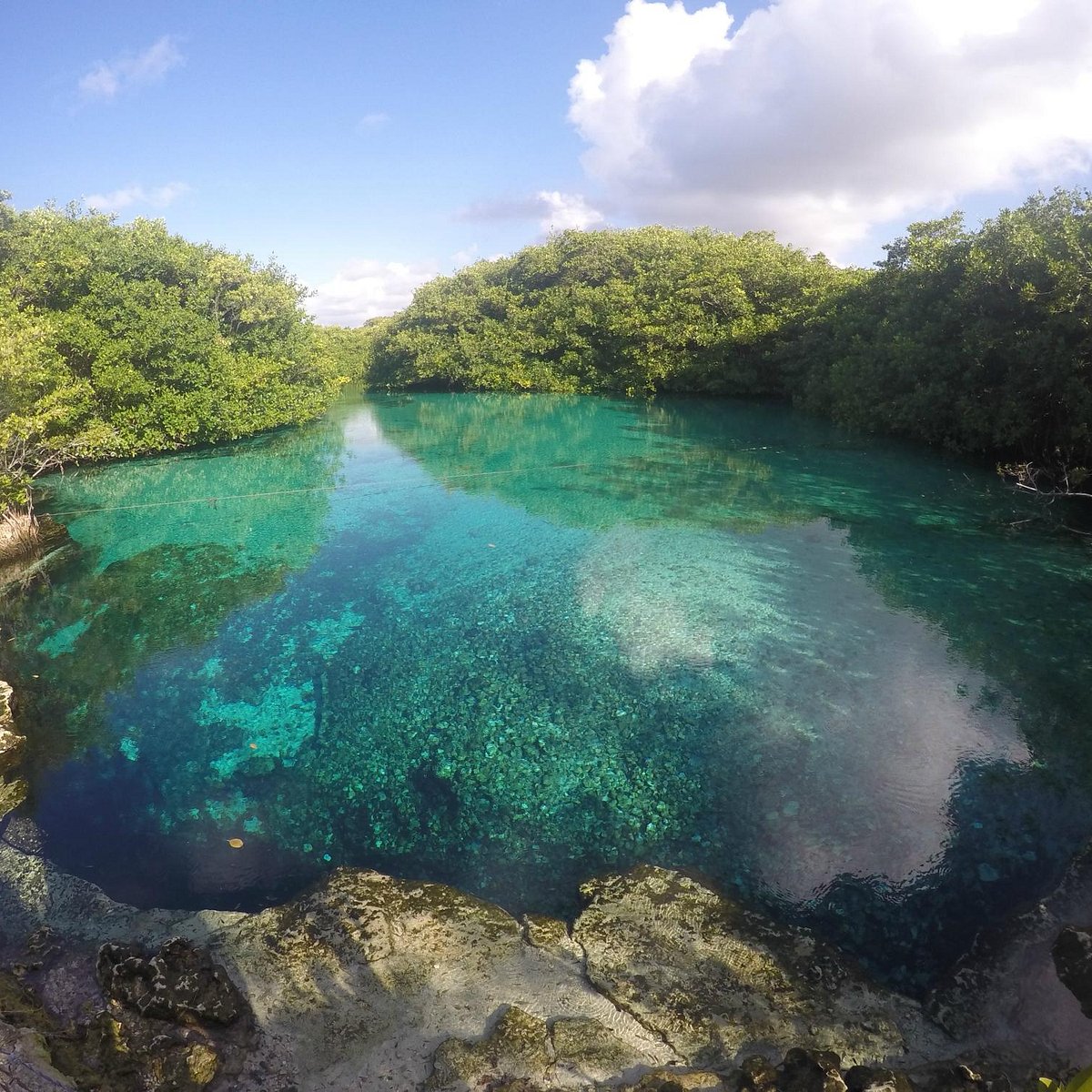 Open lagoon surrounded by mangroves at Casa Cenote