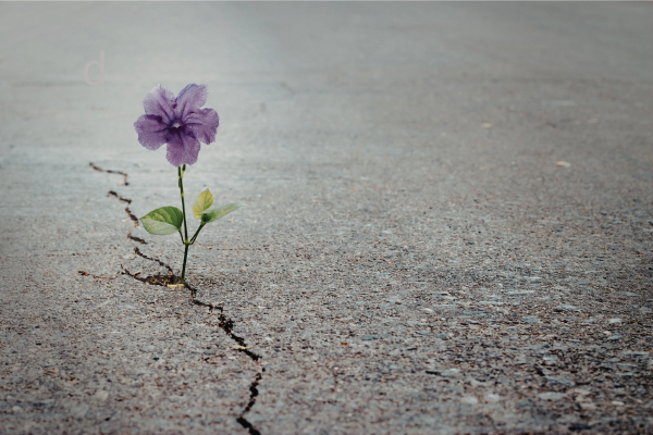 Voice Cracking Causes & Solutions for Singers Explained