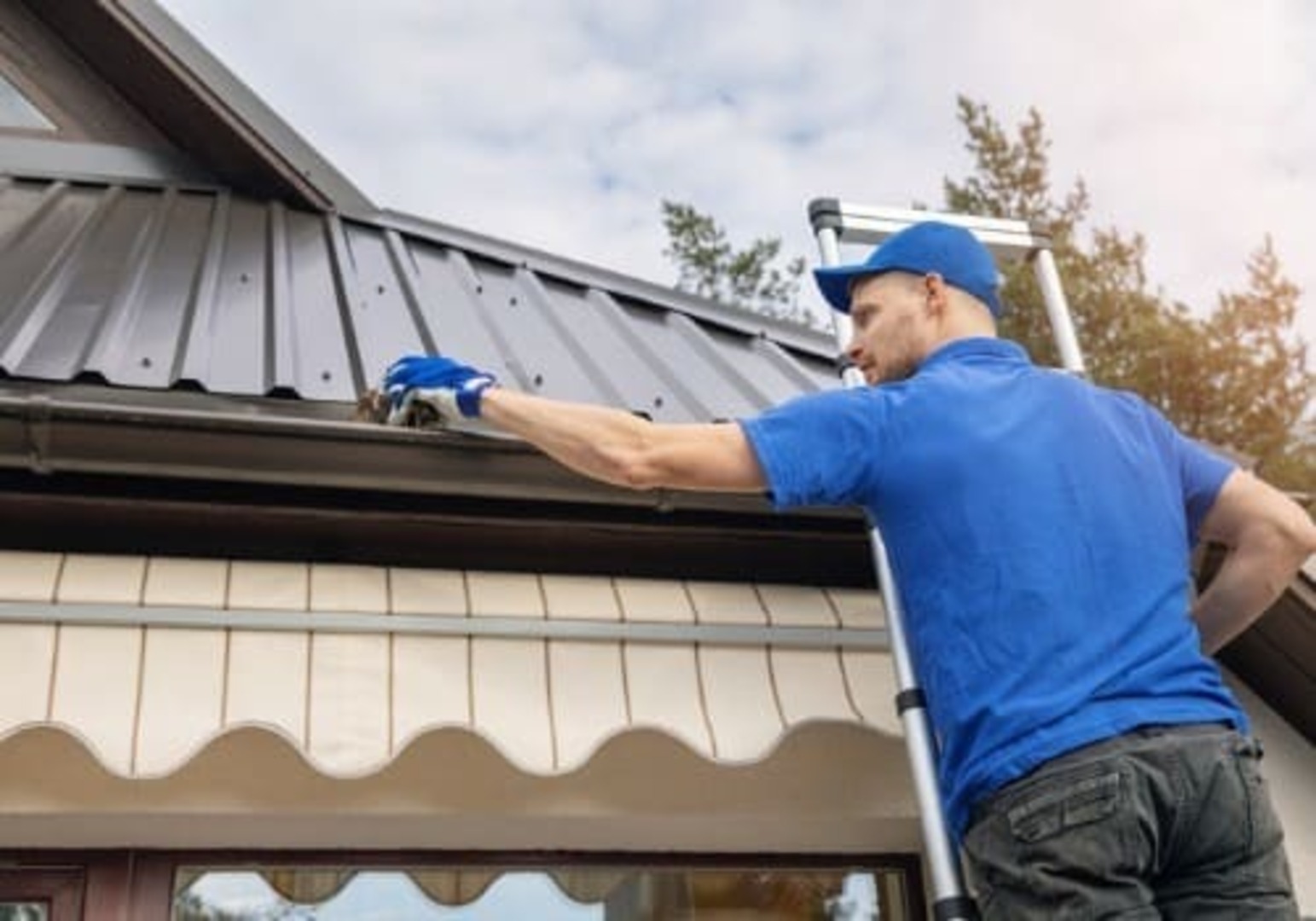 Window Cleaning