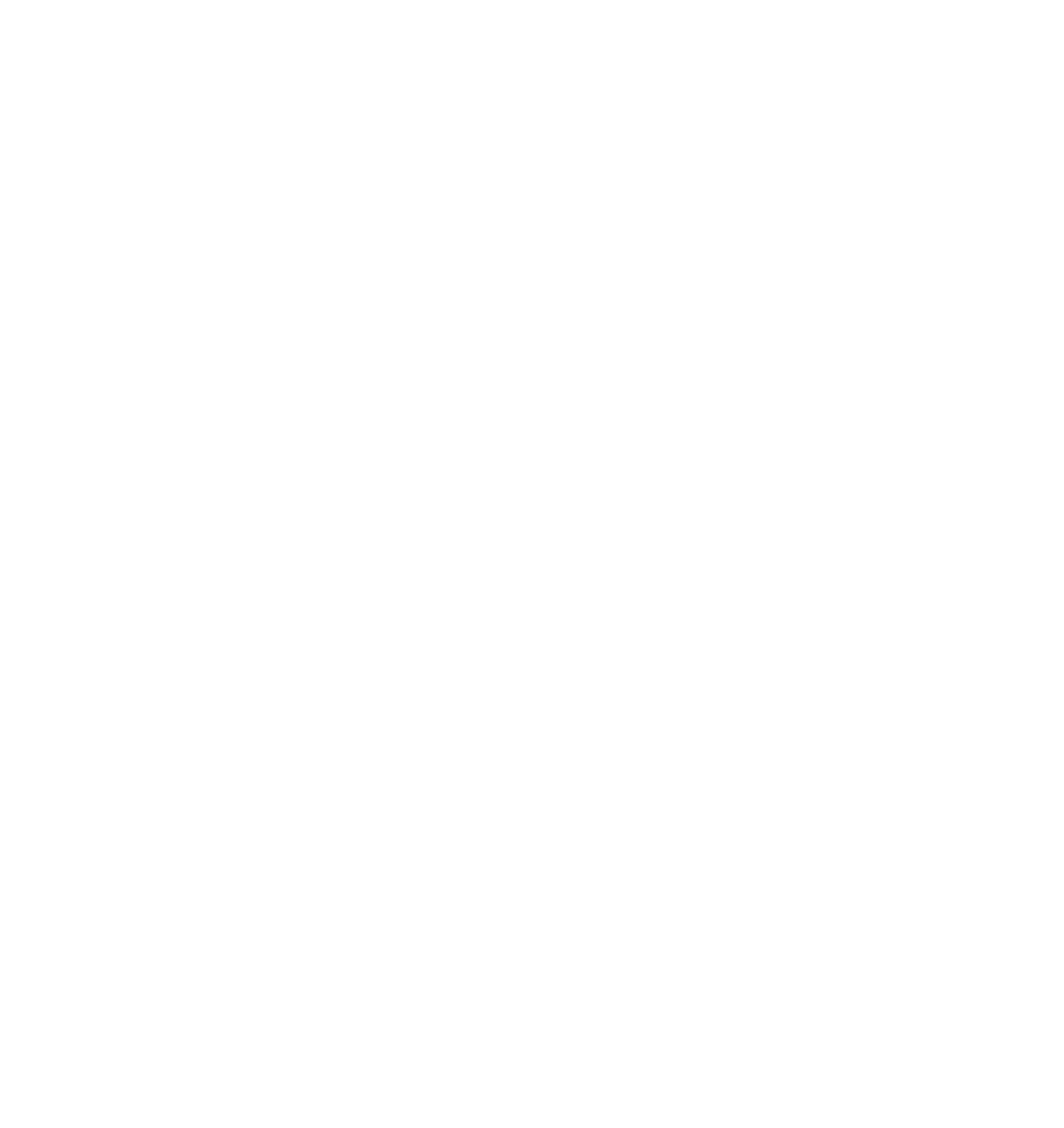 Elite Strategies Consulting