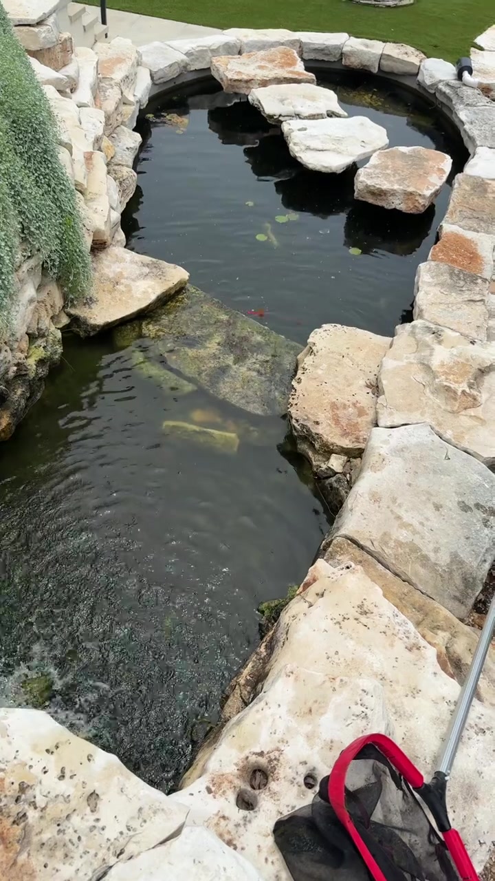 Koi pond with waterfall