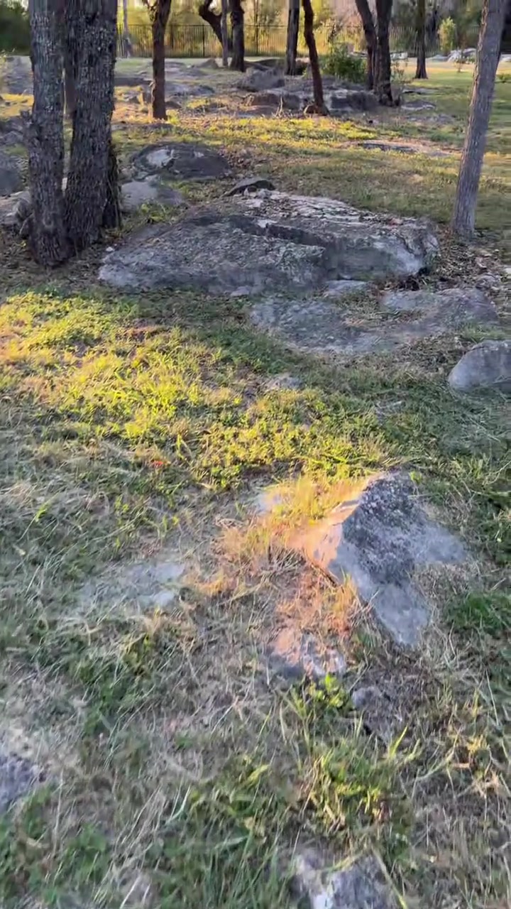 Backyard water feature
