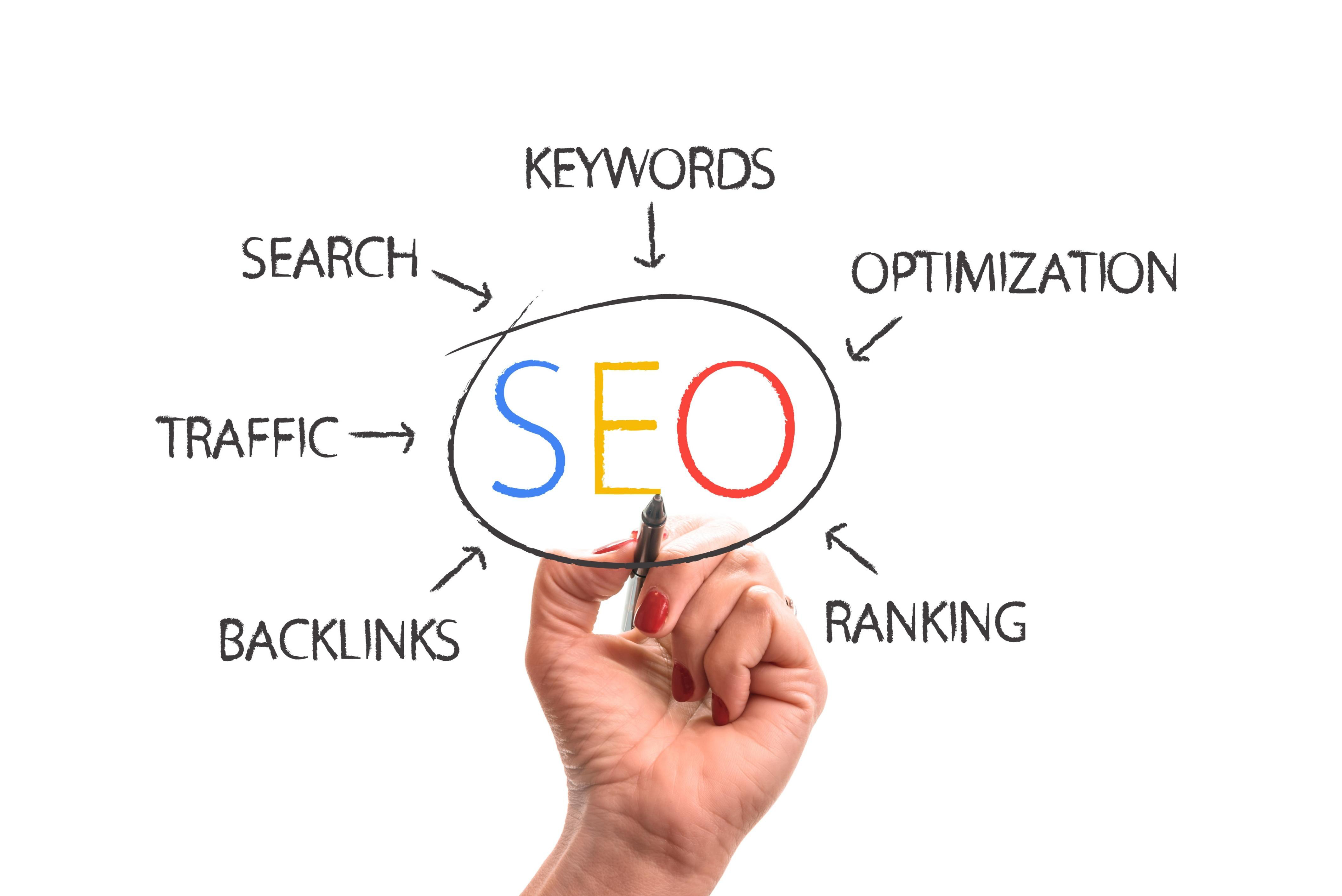 Local Eyes Digital SEO consultation