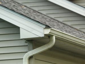 {{ custom_values.service_2 }} in {{custom_values.area_2})