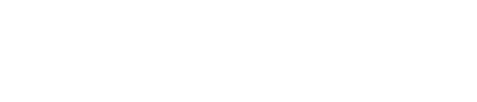 REI Lead Pros