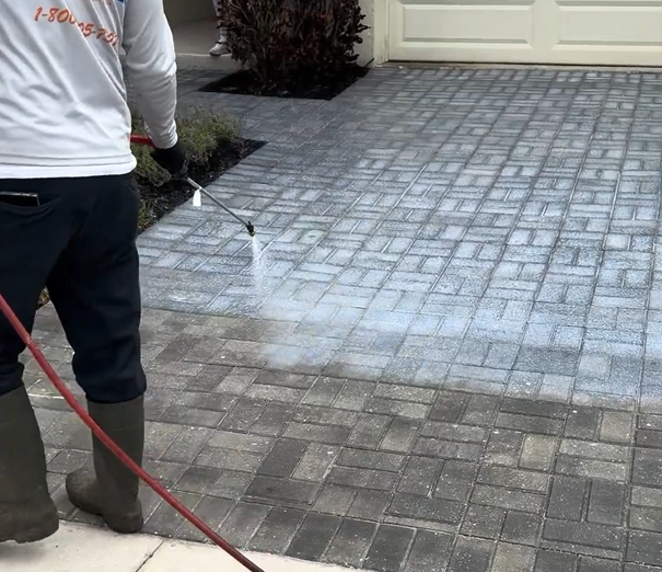 Sealer Application Sealer Application
