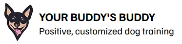 Your Buddy's Buddy