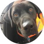 Melissa Adams Brandt