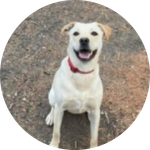 Carolyn Veilleux Givens