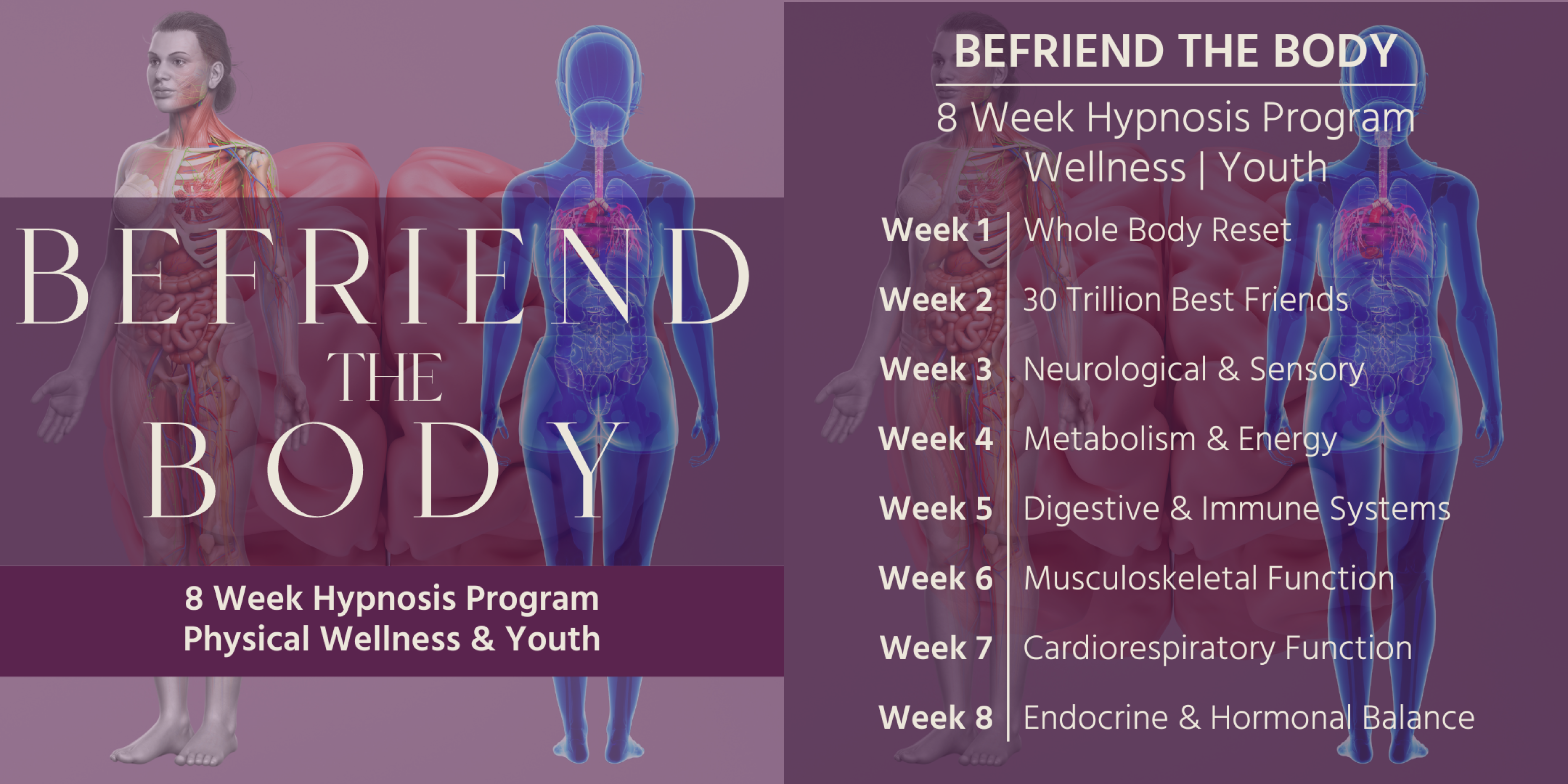 befriend the body 8 week hypnosis program for physical wellness and youth