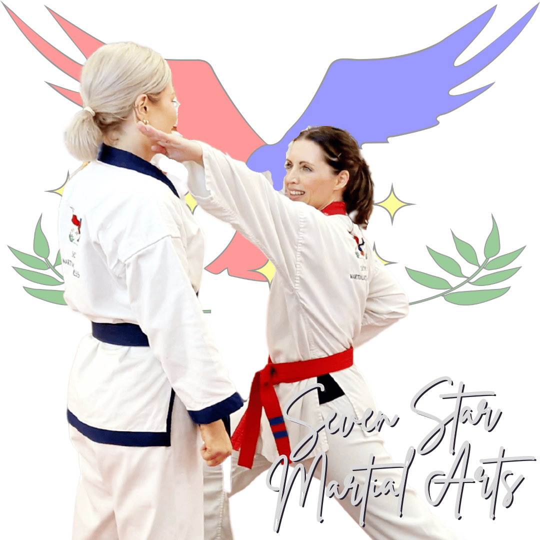 2 adult ladies in their karate uniforms practicing