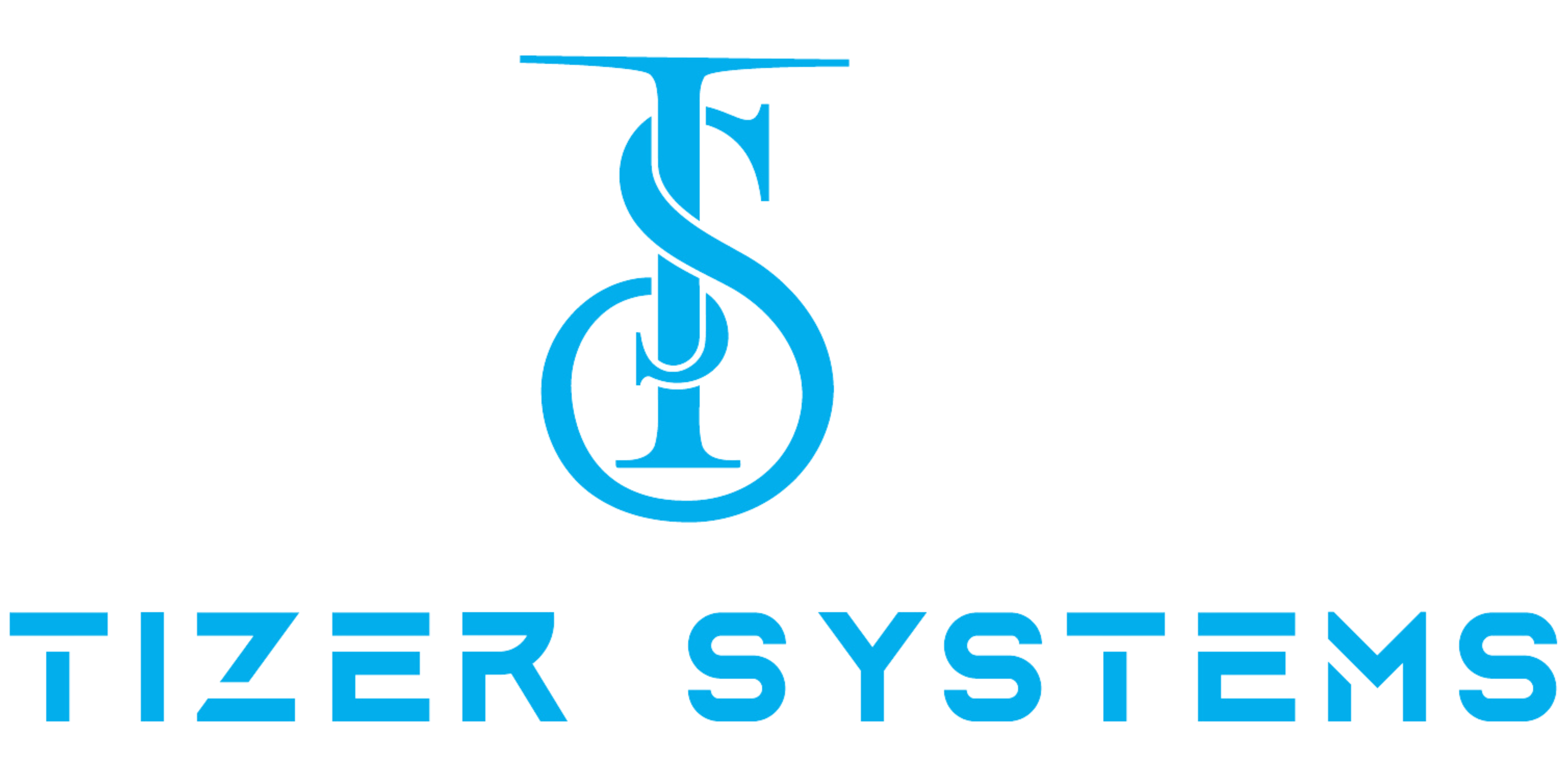 Tizer Systems Local Business Digital Marketing