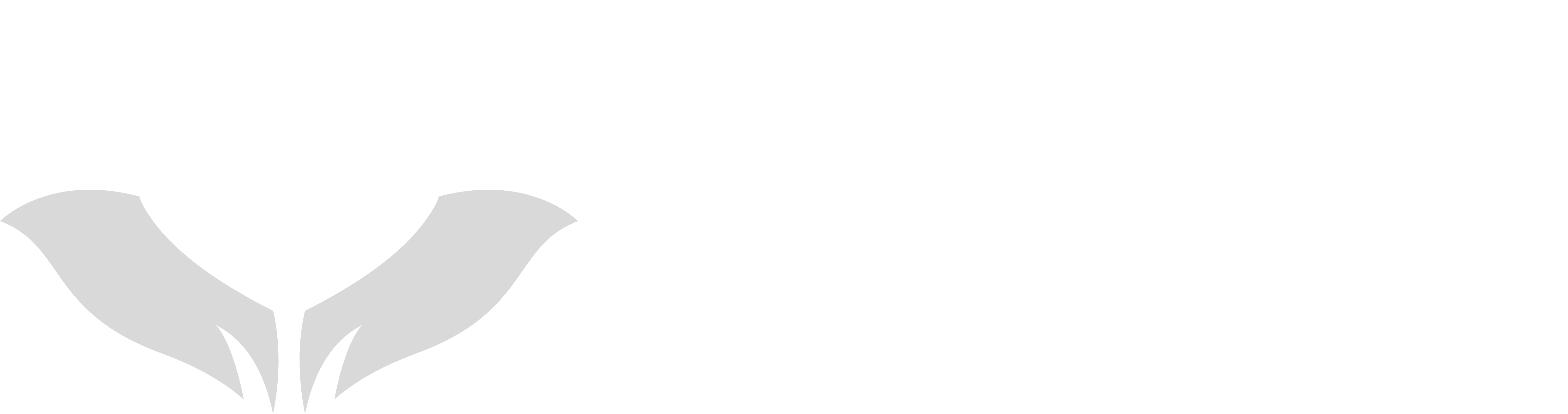 Edge Landscape Design of Lutz