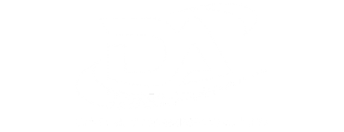 Car Dealer
