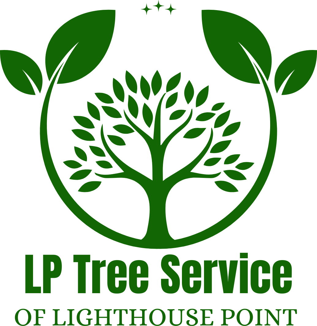 LP Tree Service of Lighthouse Point logo