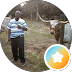 Levar Tillis