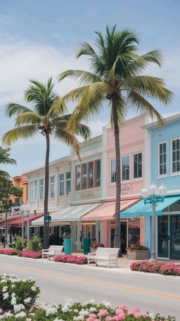 Experience South Florida