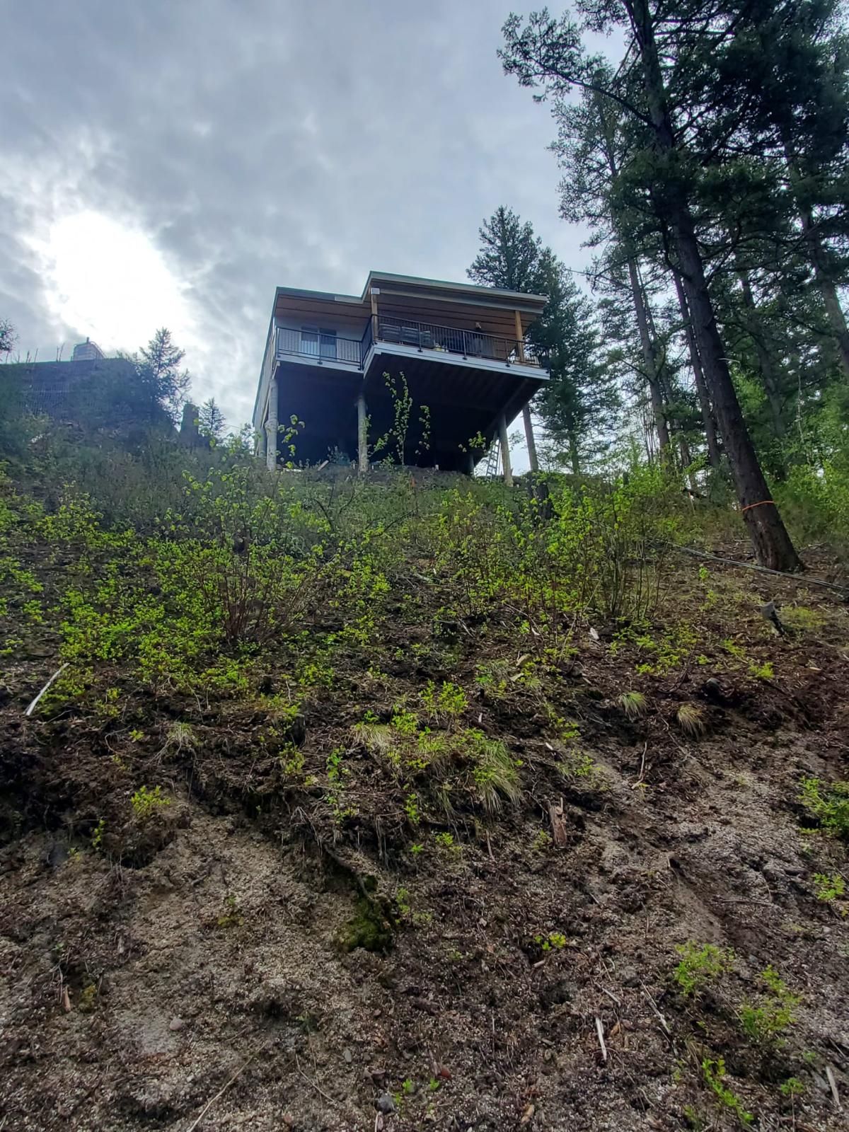 Custom home perched above a forested hillside