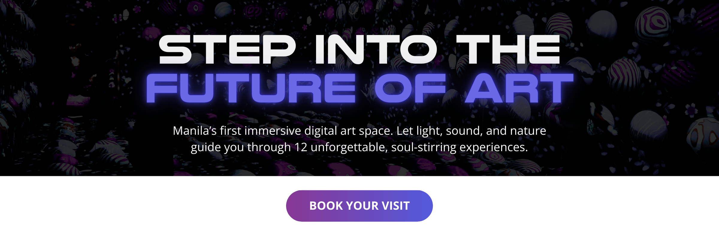 Manila Ocean Park and DNA Museum ₱950 Promo Offer: Comprehensive Guide to Tickets and Immersive Experiences