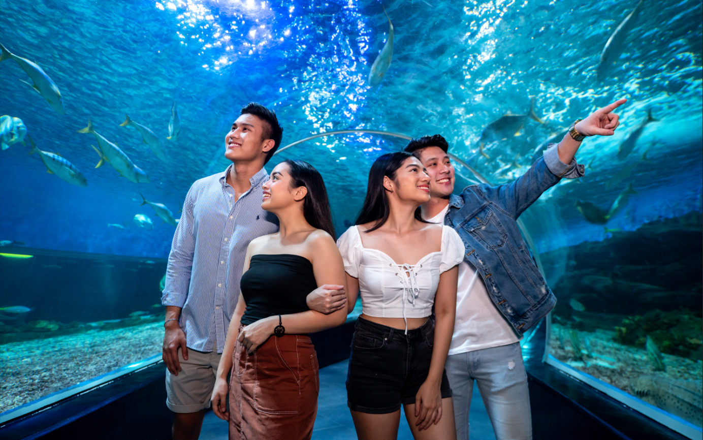 Manila Ocean Park and DNA Museum ₱950 Promo Offer: Comprehensive Guide to Tickets and Immersive Experiences