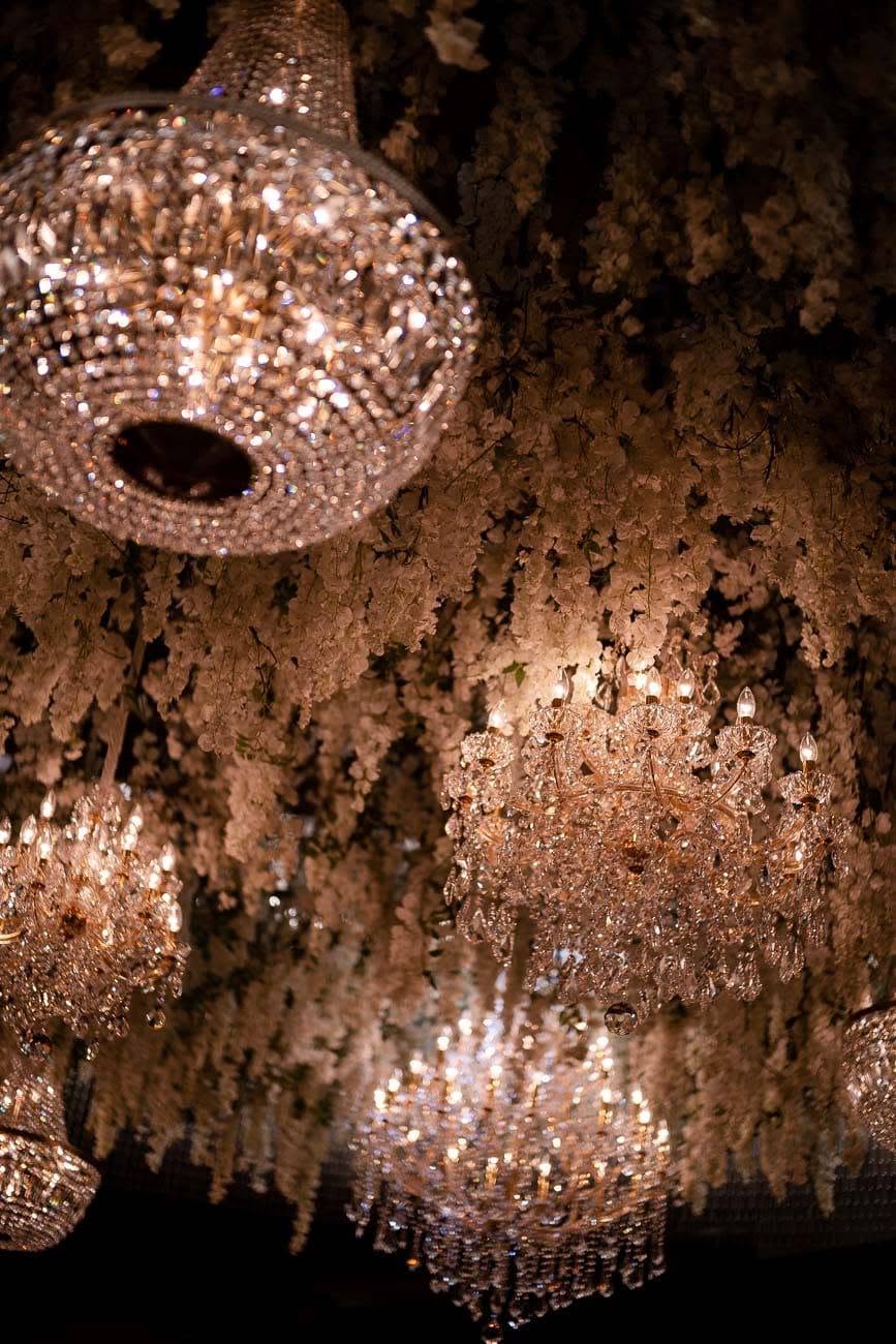 Natasha & Paul — 31