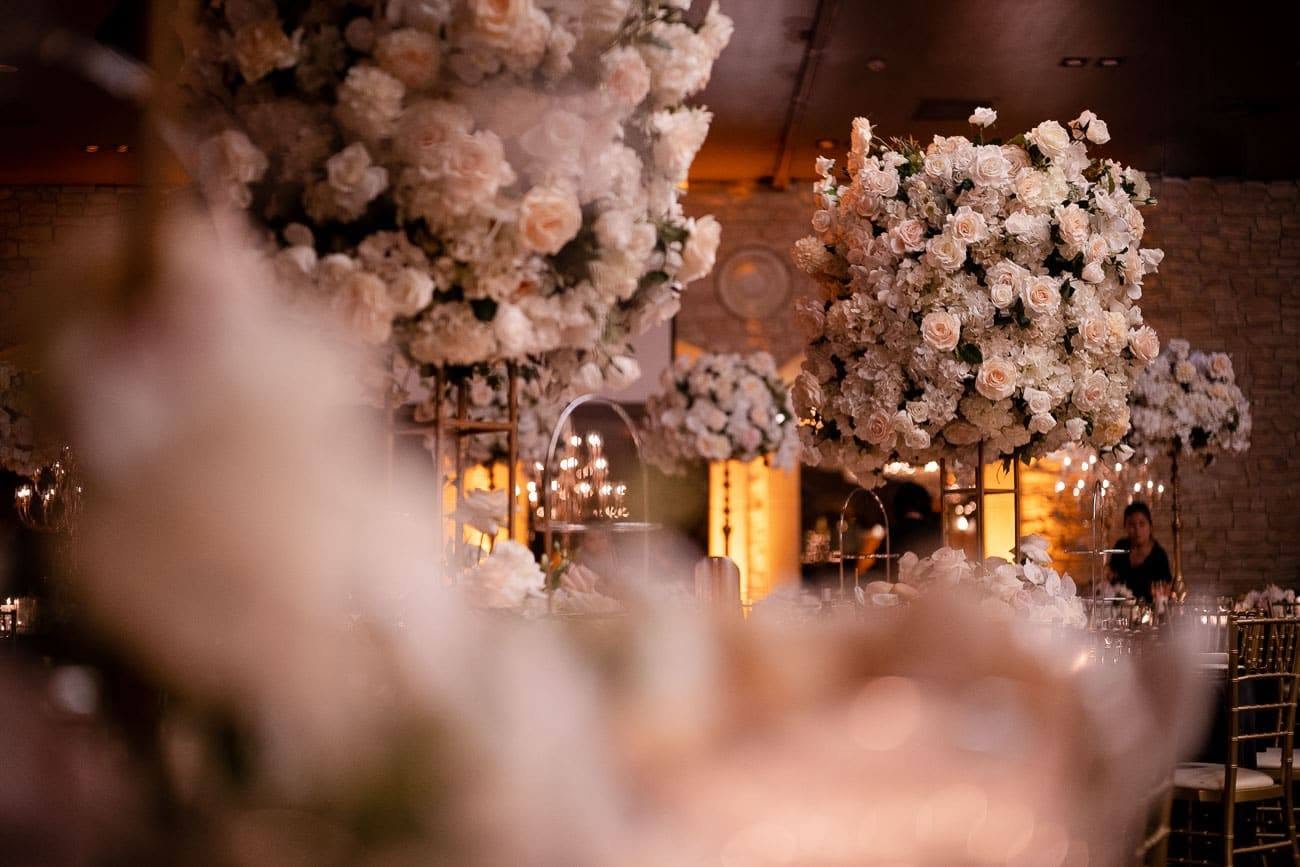 Natasha & Paul — 21