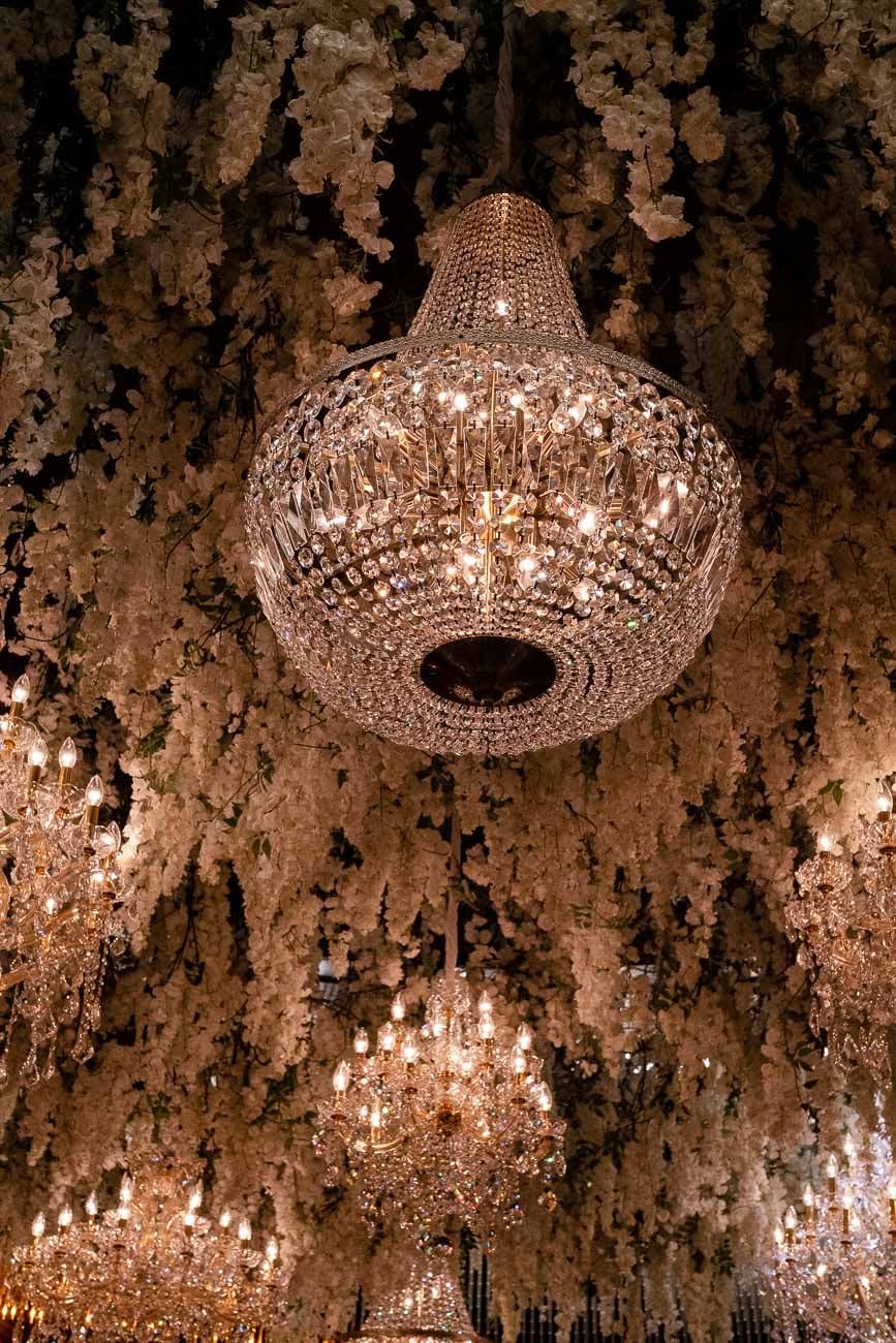 Natasha & Paul — 10