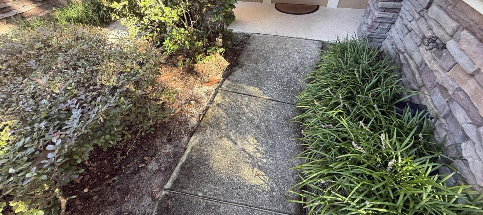 Front walkway with algae before cleaning