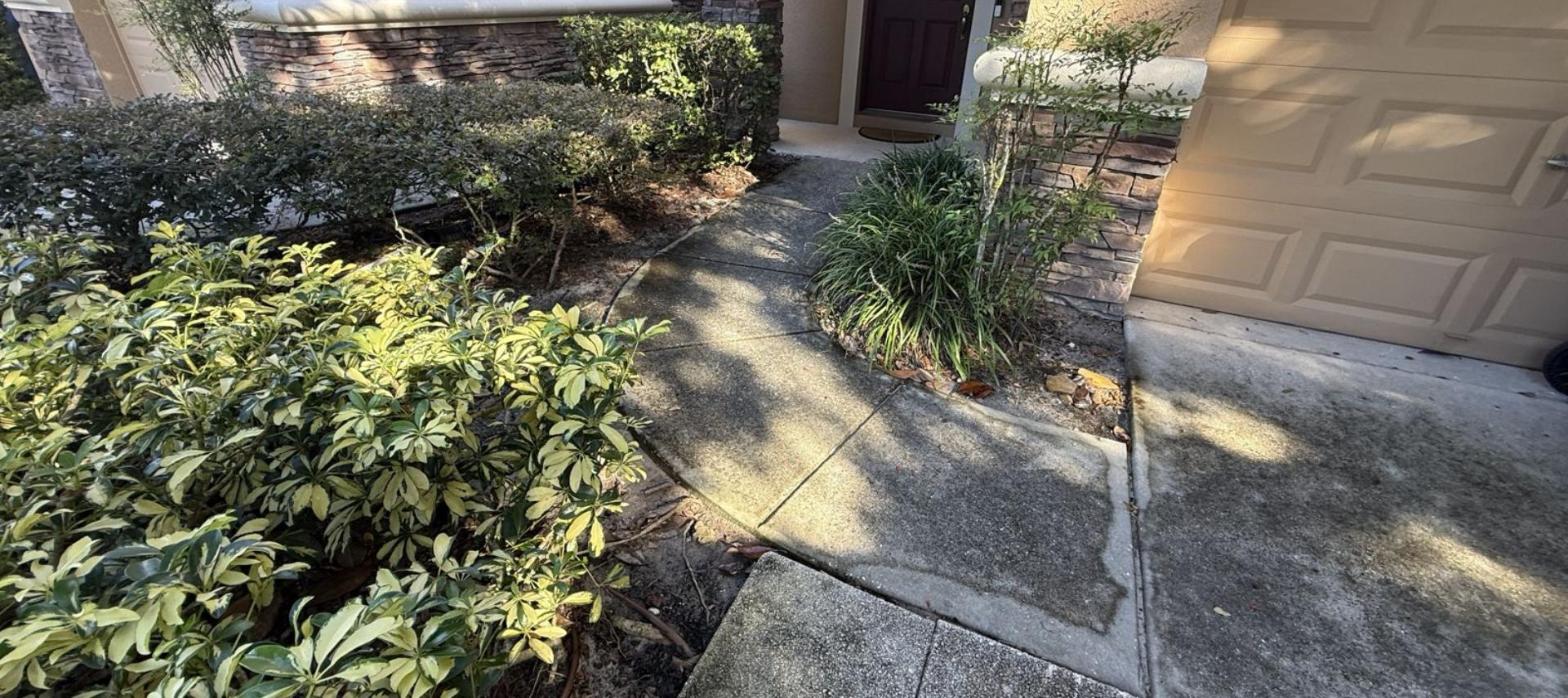 Front entry walkway and driveway edge before cleaning