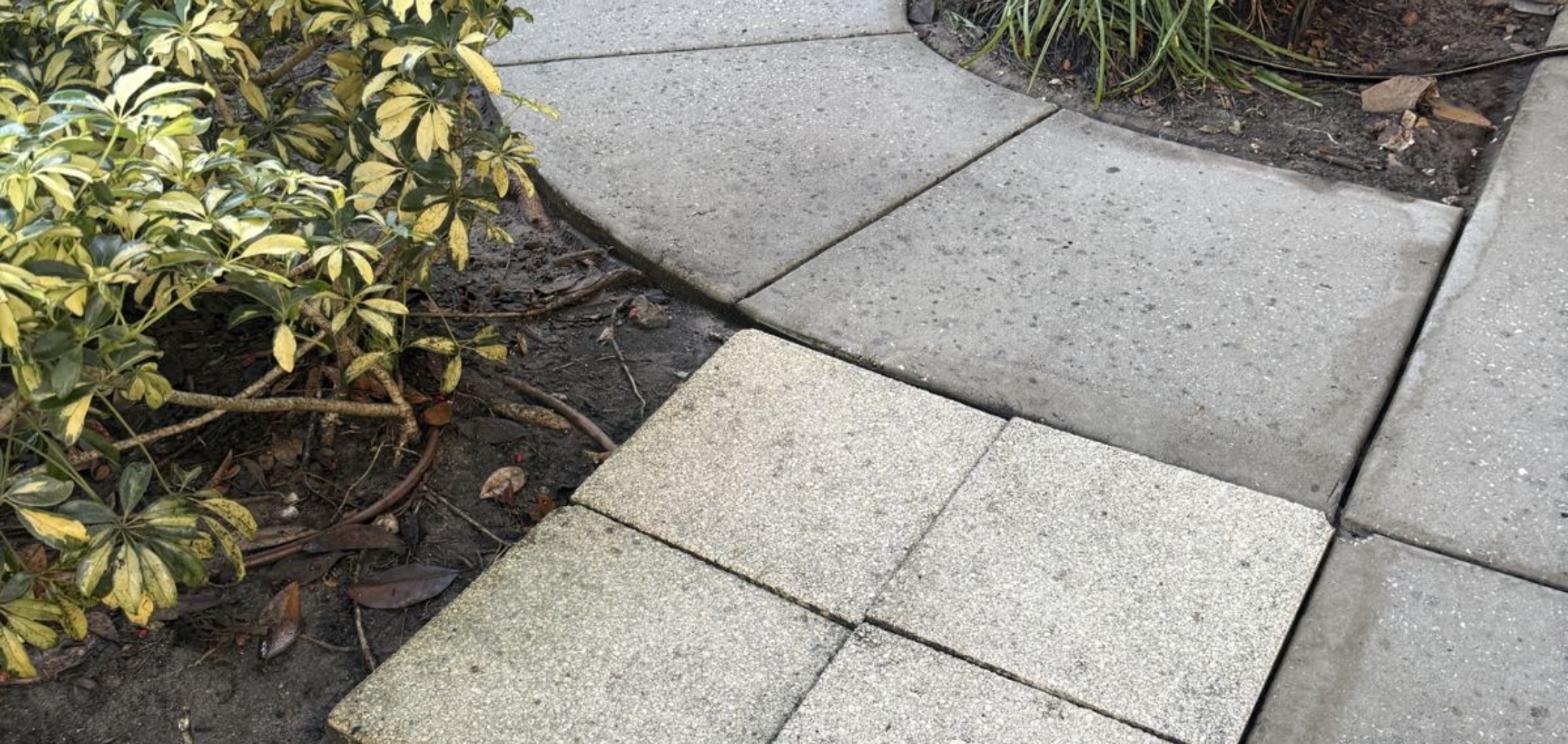 Front walkway after cleaning