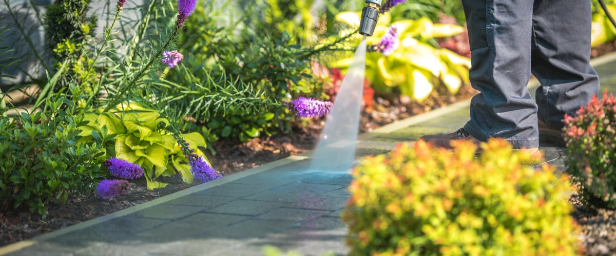 Professional pressure washing walkway beside landscaped garden and flowers