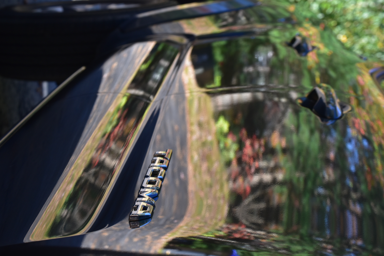 paint correction in erie colorado