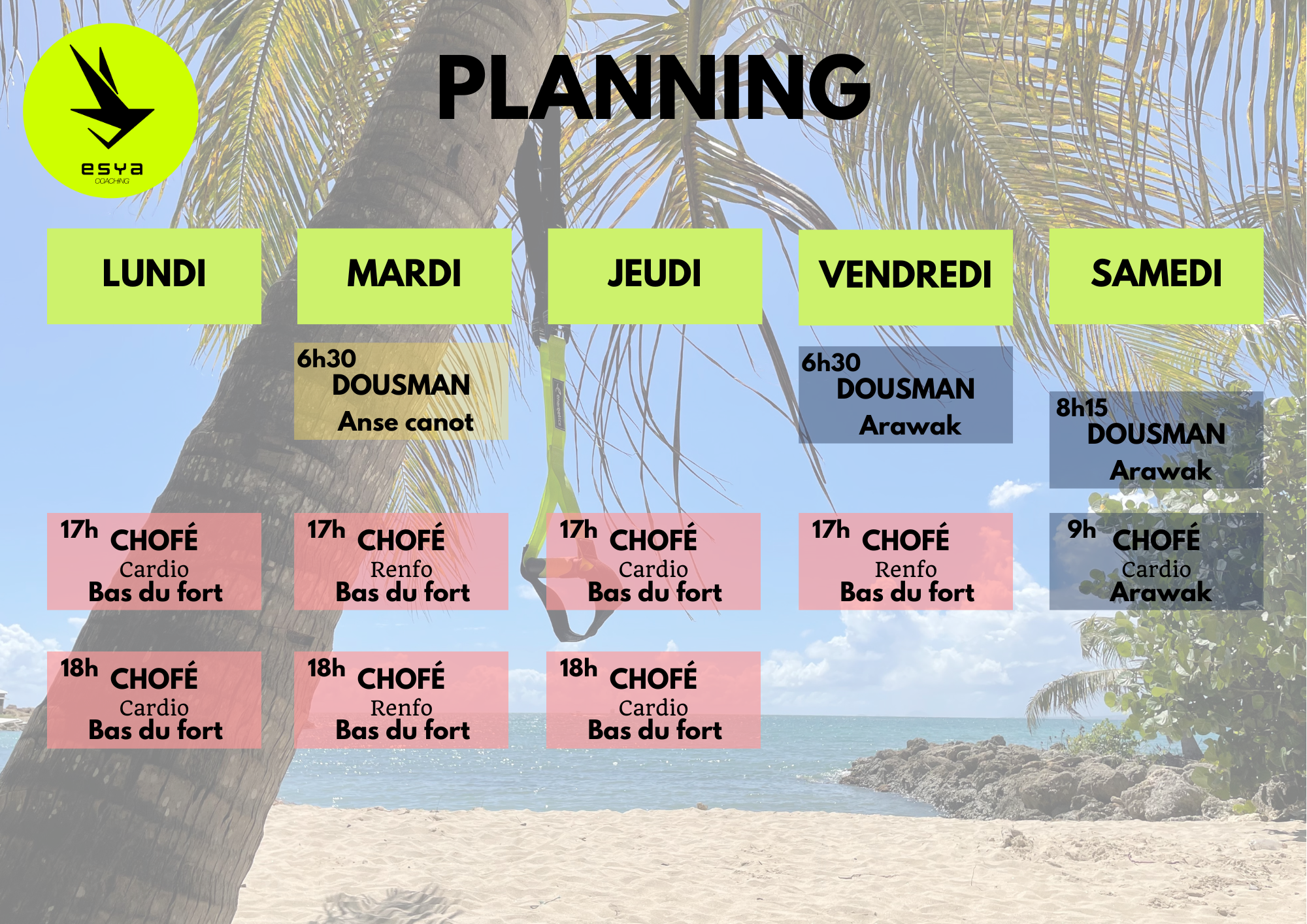 Planning des séances