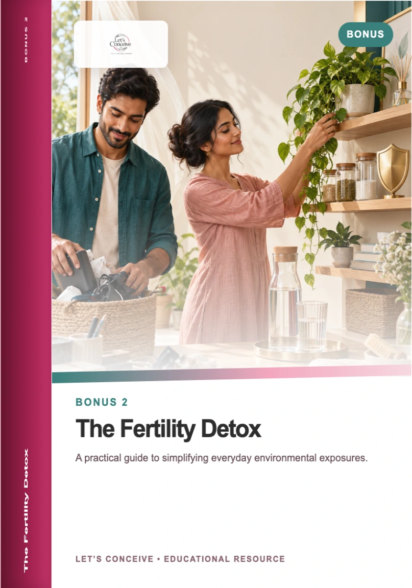 3D product box for The Fertility Detox bonus