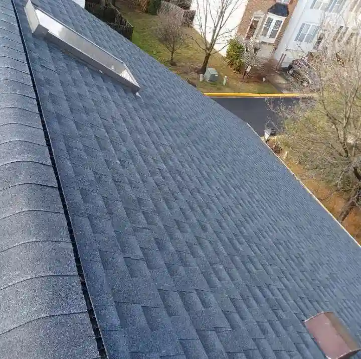 Cloverleaf roof and skylights
