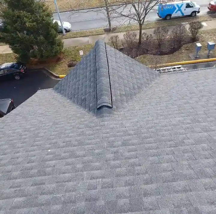Cloverleaf roof and skylights