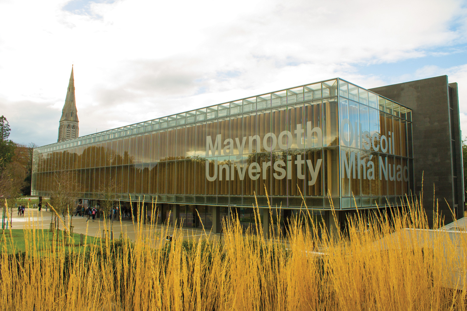 Maynooth University
