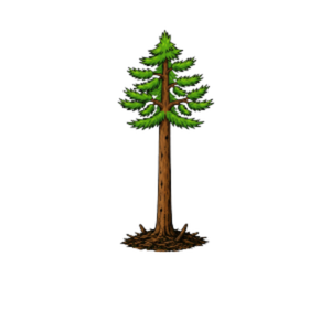 Forestry Mulching