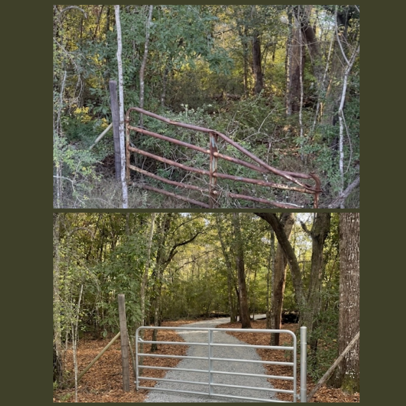 Land clearing transformation