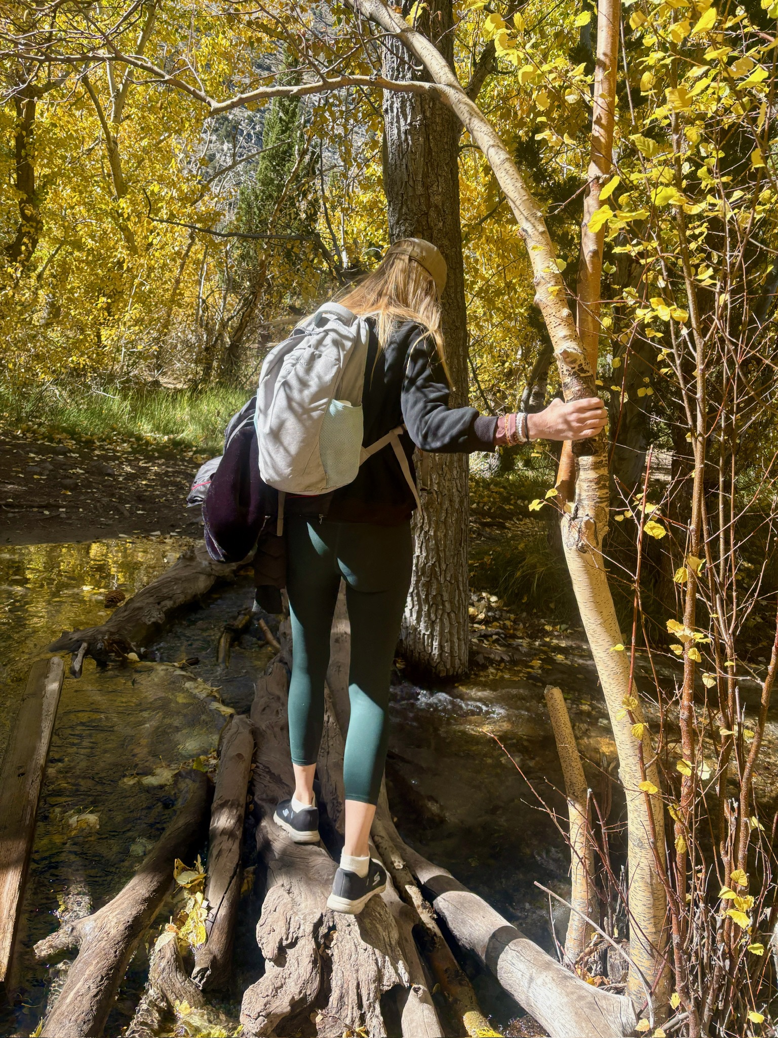 Hiking a mountain trail