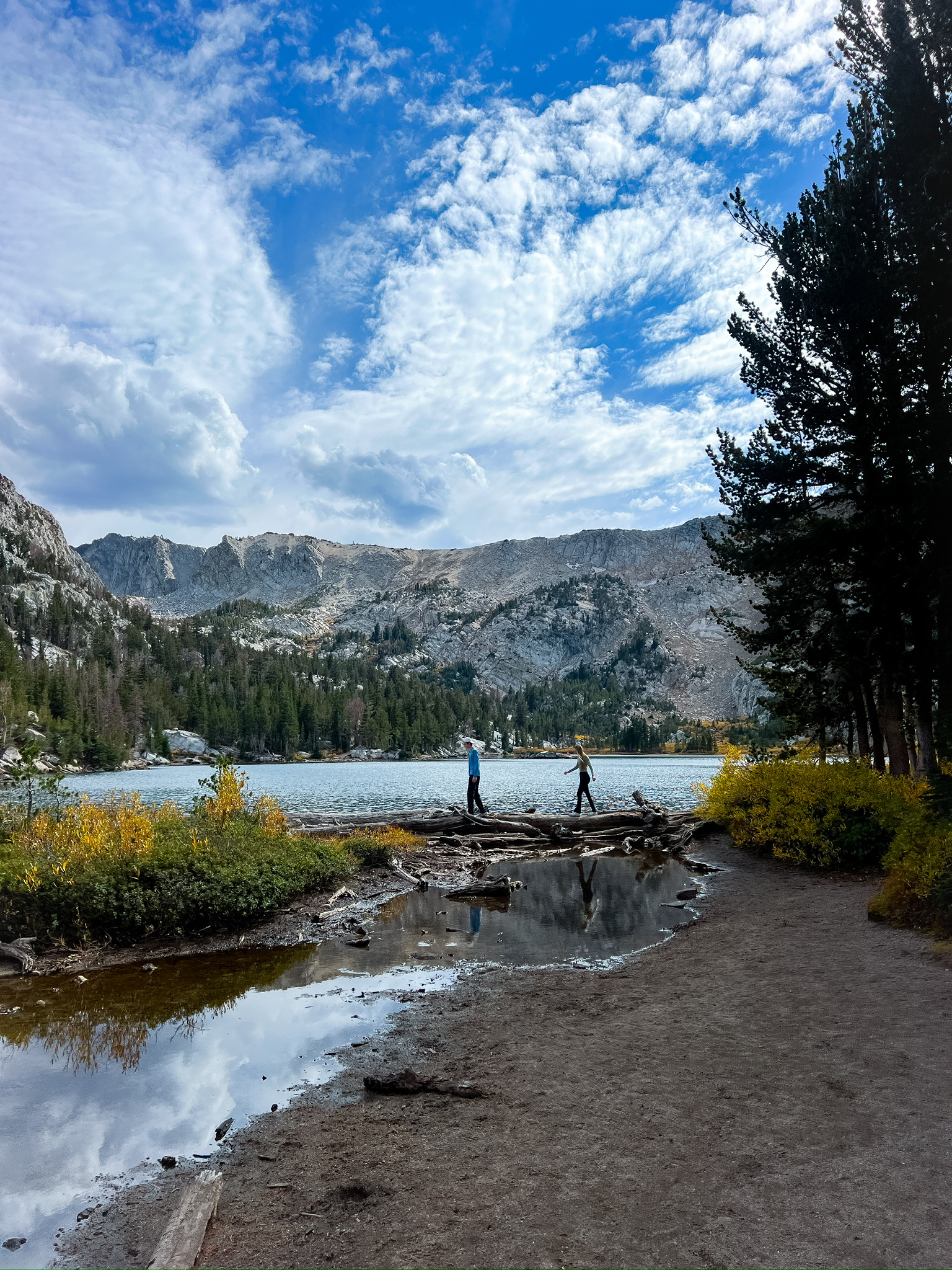 Golden mountain trail in Mammoth Lakes