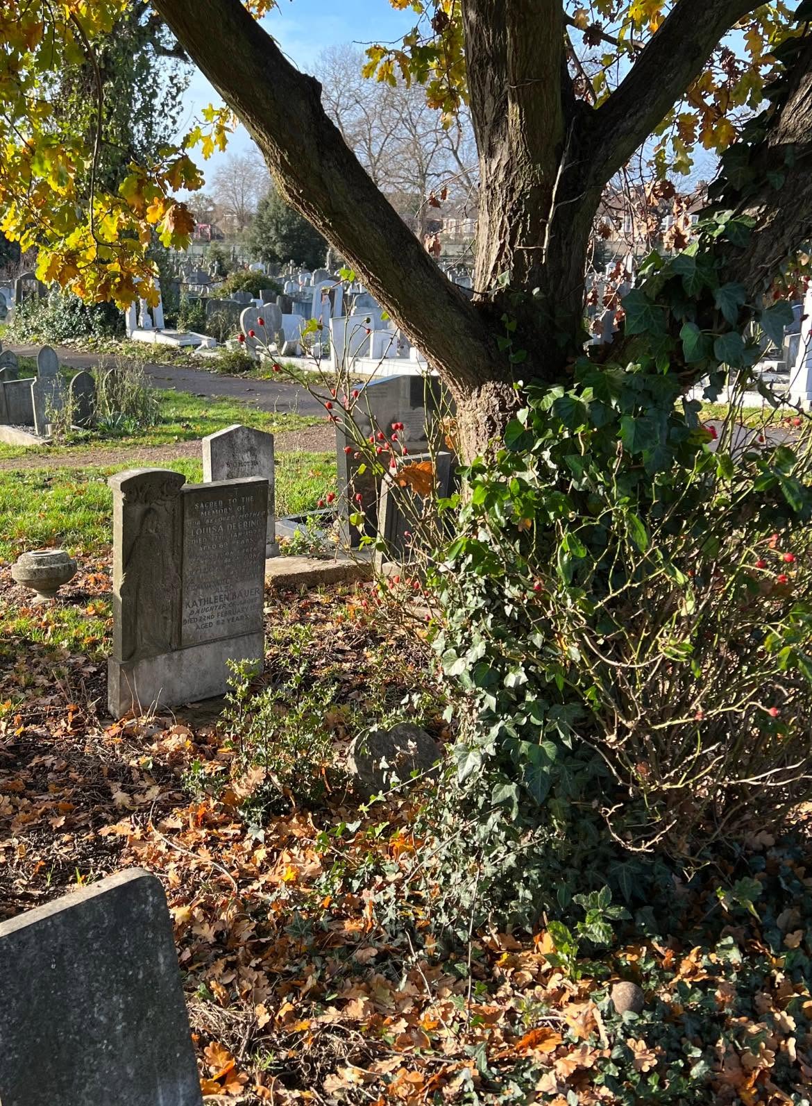 Photo: soft-brush cleaning in progress on a granite headstone, City of London Cemetery