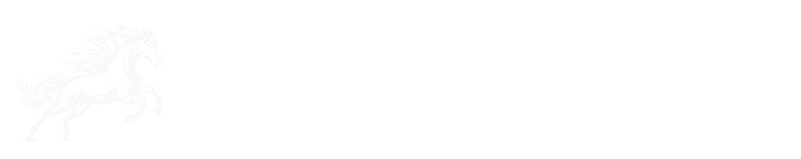 Blue Stallion Solutions logo
