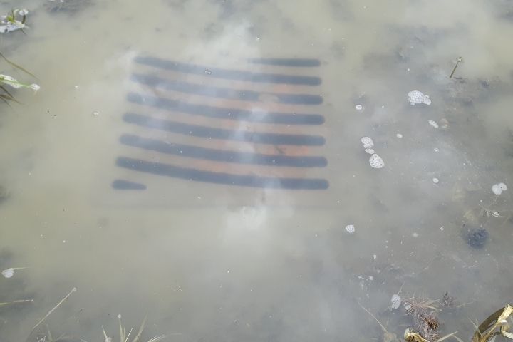 A drain grate submerged in water, showing exterior plumbing problems.